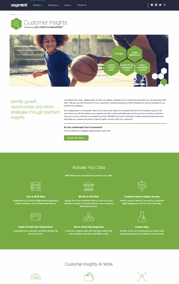 Segmint landing page for Customer Insights