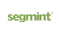 Segmint logo